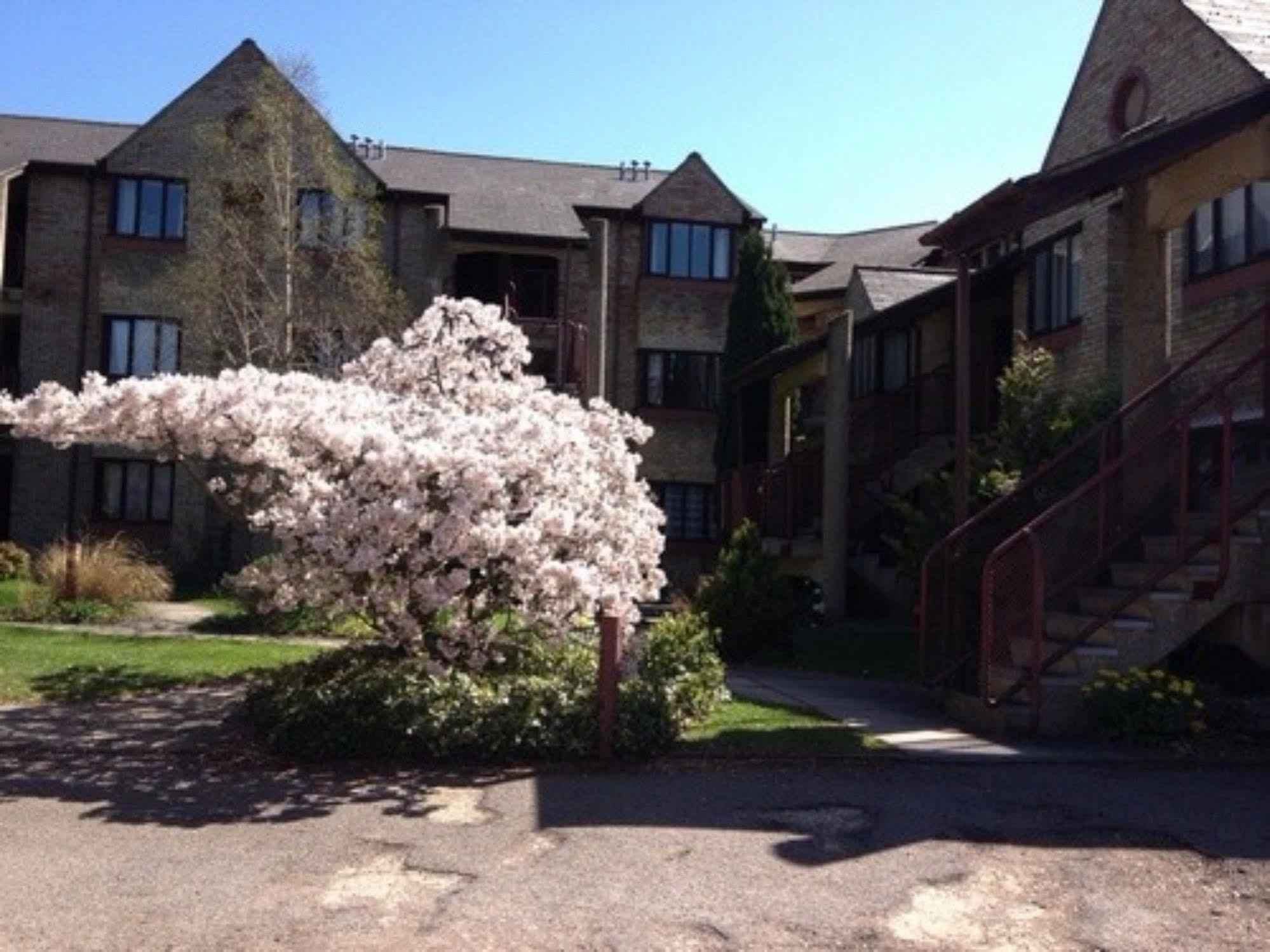 Chamberlin Court Apartamento Cambridge Exterior foto